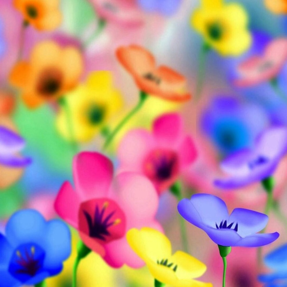 Meet your Posher, Aida